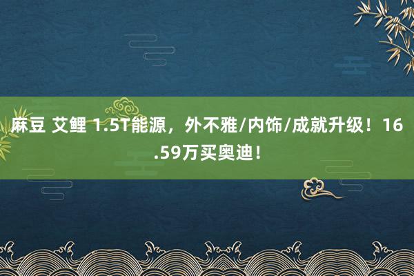 麻豆 艾鲤 1.5T能源，外不雅/内饰/成就升级！16.59万买奥迪！