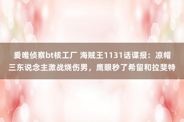 爰唯侦察bt核工厂 海贼王1131话谍报：凉帽三东说念主激战烧伤男，鹰眼秒了希留和拉斐特