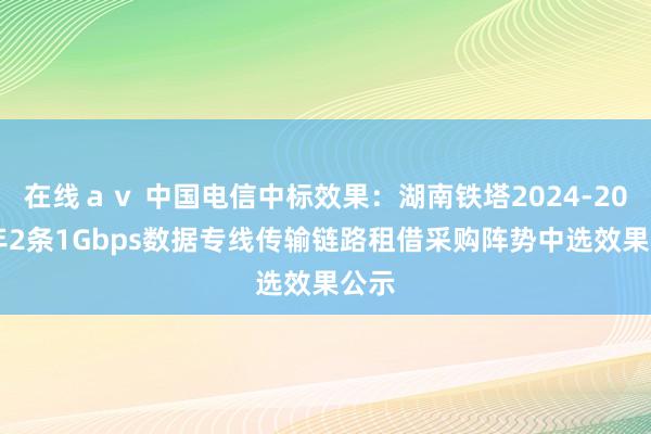 在线ａｖ 中国电信中标效果：湖南铁塔2024-2027年2条1Gbps数据专线传输链路租借采购阵势中选效果公示