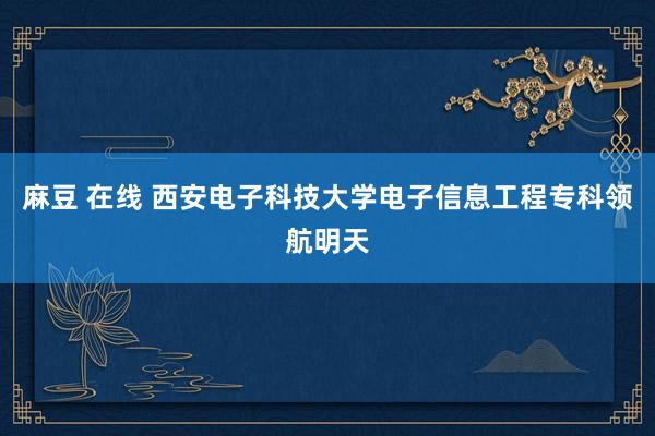 麻豆 在线 西安电子科技大学电子信息工程专科领航明天