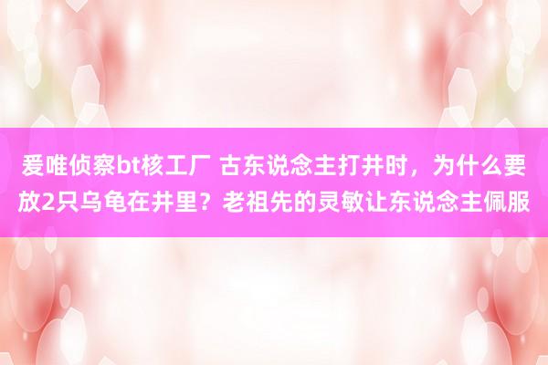 爰唯侦察bt核工厂 古东说念主打井时，为什么要放2只乌龟在井里？老祖先的灵敏让东说念主佩服