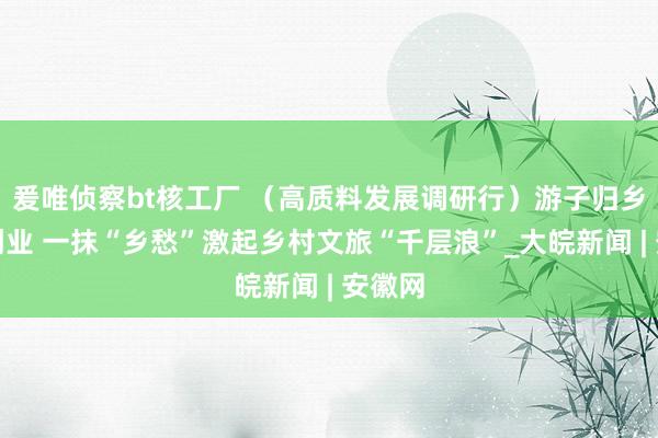 爰唯侦察bt核工厂 （高质料发展调研行）游子归乡立异创业 一抹“乡愁”激起乡村文旅“千层浪”_大皖新闻 | 安徽网