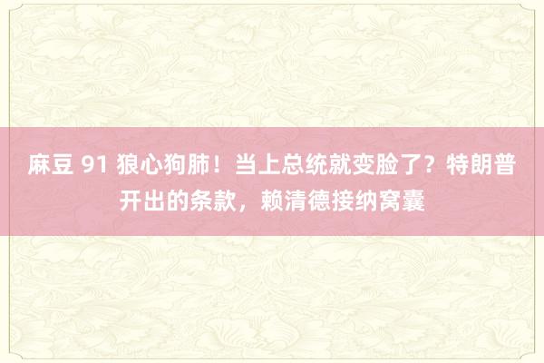 麻豆 91 狼心狗肺！当上总统就变脸了？特朗普开出的条款，赖清德接纳窝囊