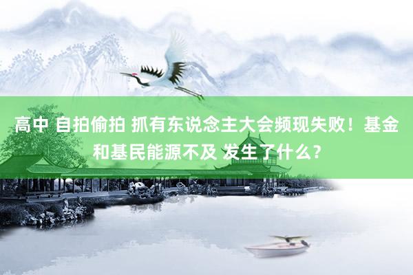 高中 自拍偷拍 抓有东说念主大会频现失败！基金和基民能源不及 发生了什么？