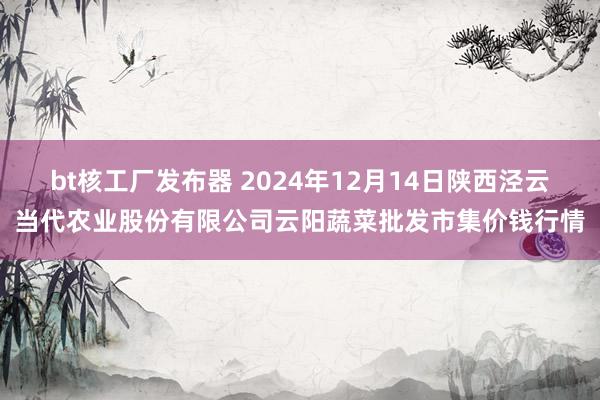 bt核工厂发布器 2024年12月14日陕西泾云当代农业股份有限公司云阳蔬菜批发市集价钱行情