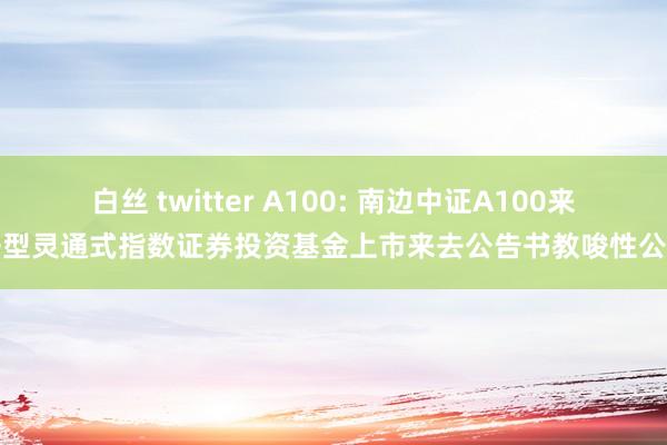 白丝 twitter A100: 南边中证A100来去型灵通式指数证券投资基金上市来去公告书教唆性公告