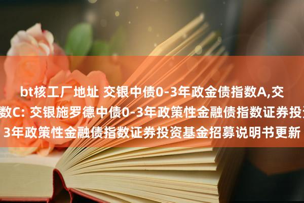 bt核工厂地址 交银中债0-3年政金债指数A，交银中债0-3年政金债指数C: 交银施罗德中债0-3年政策性金融债指数证券投资基金招募说明书更新