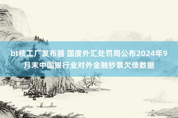 bt核工厂发布器 国度外汇处罚局公布2024年9月末中国银行业对外金融钞票欠债数据