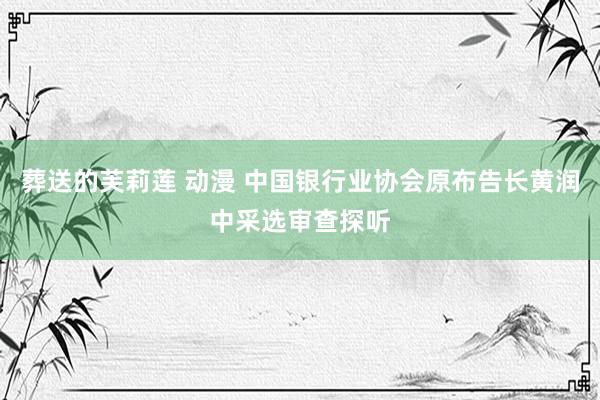 葬送的芙莉莲 动漫 中国银行业协会原布告长黄润中采选审查探听