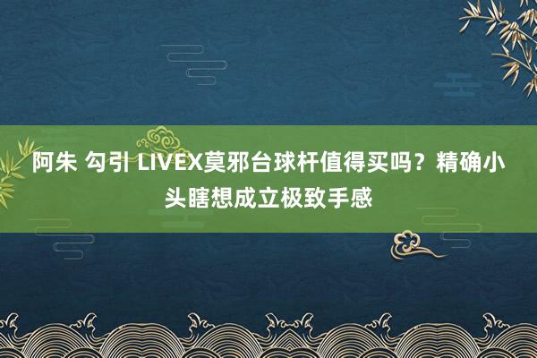 阿朱 勾引 LIVEX莫邪台球杆值得买吗？精确小头瞎想成立极致手感