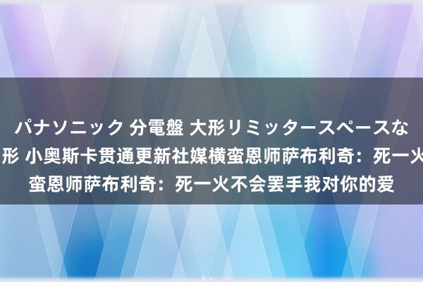 パナソニック 分電盤 大形リミッタースペースなし 露出・半埋込両用形 小奥斯卡贯通更新社媒横蛮恩师萨布利奇：死一火不会罢手我对你的爱