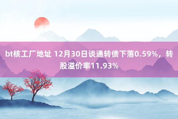 bt核工厂地址 12月30日谈通转债下落0.59%，转股溢价率11.93%