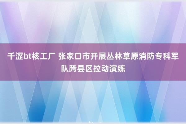 千涩bt核工厂 张家口市开展丛林草原消防专科军队跨县区拉动演练