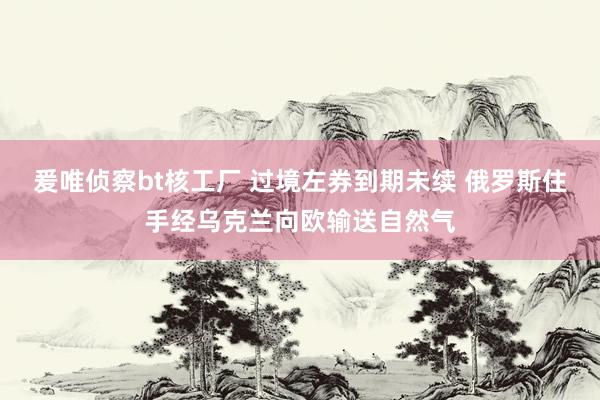 爰唯侦察bt核工厂 过境左券到期未续 俄罗斯住手经乌克兰向欧输送自然气