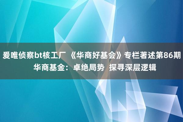 爰唯侦察bt核工厂 《华商好基会》专栏著述第86期   华商基金：卓绝局势  探寻深层逻辑