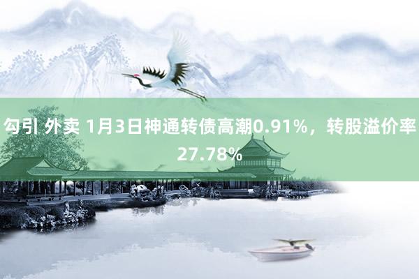 勾引 外卖 1月3日神通转债高潮0.91%，转股溢价率27.78%