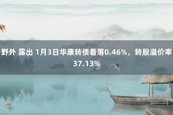 野外 露出 1月3日华康转债着落0.46%，转股溢价率37.13%