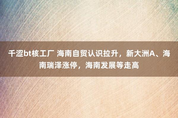 千涩bt核工厂 海南自贸认识拉升，新大洲A、海南瑞泽涨停，海南发展等走高