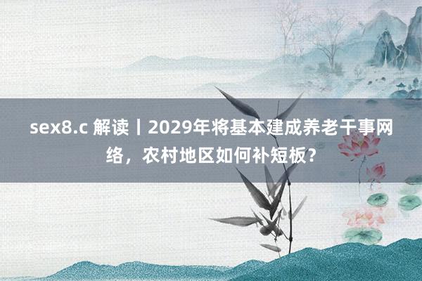 sex8.c 解读丨2029年将基本建成养老干事网络，农村地区如何补短板？