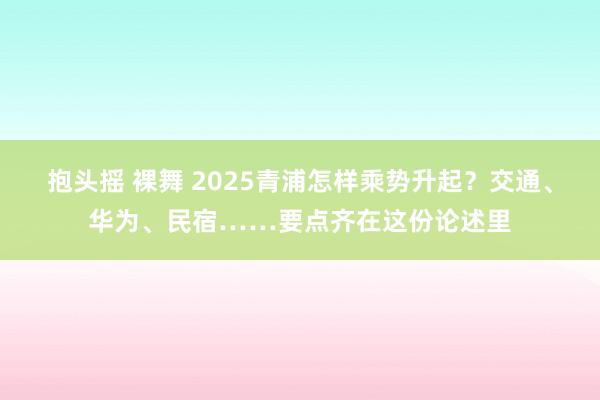 抱头摇 裸舞 2025青浦怎样乘势升起？交通、华为、民宿……要点齐在这份论述里