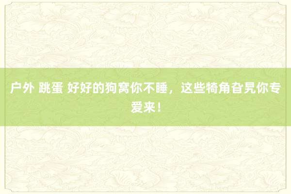 户外 跳蛋 好好的狗窝你不睡，这些犄角旮旯你专爱来！