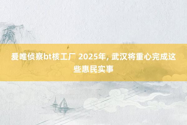 爰唯侦察bt核工厂 2025年， 武汉将重心完成这些惠民实事