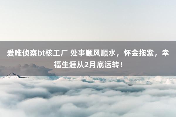 爰唯侦察bt核工厂 处事顺风顺水，怀金拖紫，幸福生涯从2月底运转！