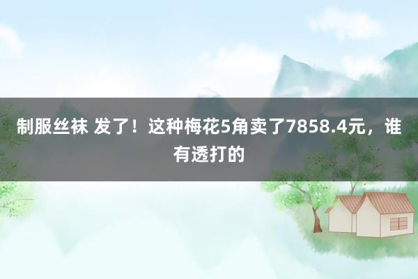 制服丝袜 发了！这种梅花5角卖了7858.4元，谁有透打的