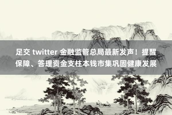 足交 twitter 金融监管总局最新发声！提醒保障、答理资金支柱本钱市集巩固健康发展