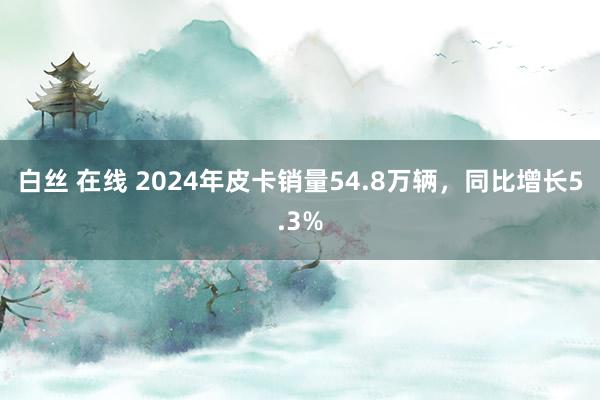 白丝 在线 2024年皮卡销量54.8万辆，同比增长5.3%