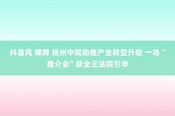 抖音风 裸舞 扬州中院助推产业转型升级 一场“推介会”获全王法院引申