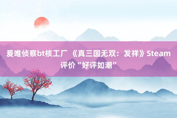 爰唯侦察bt核工厂 《真三国无双：发祥》Steam评价“好评如潮”