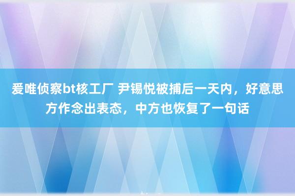 爰唯侦察bt核工厂 尹锡悦被捕后一天内，好意思方作念出表态，中方也恢复了一句话